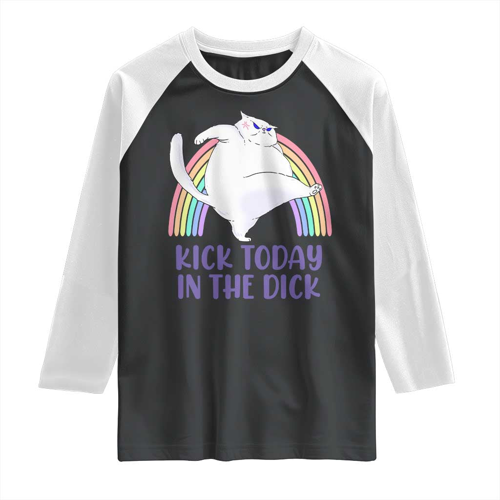Funny Sarcastic Cat Raglan Shirt Kick Today In The Dick Pastel Rainbow