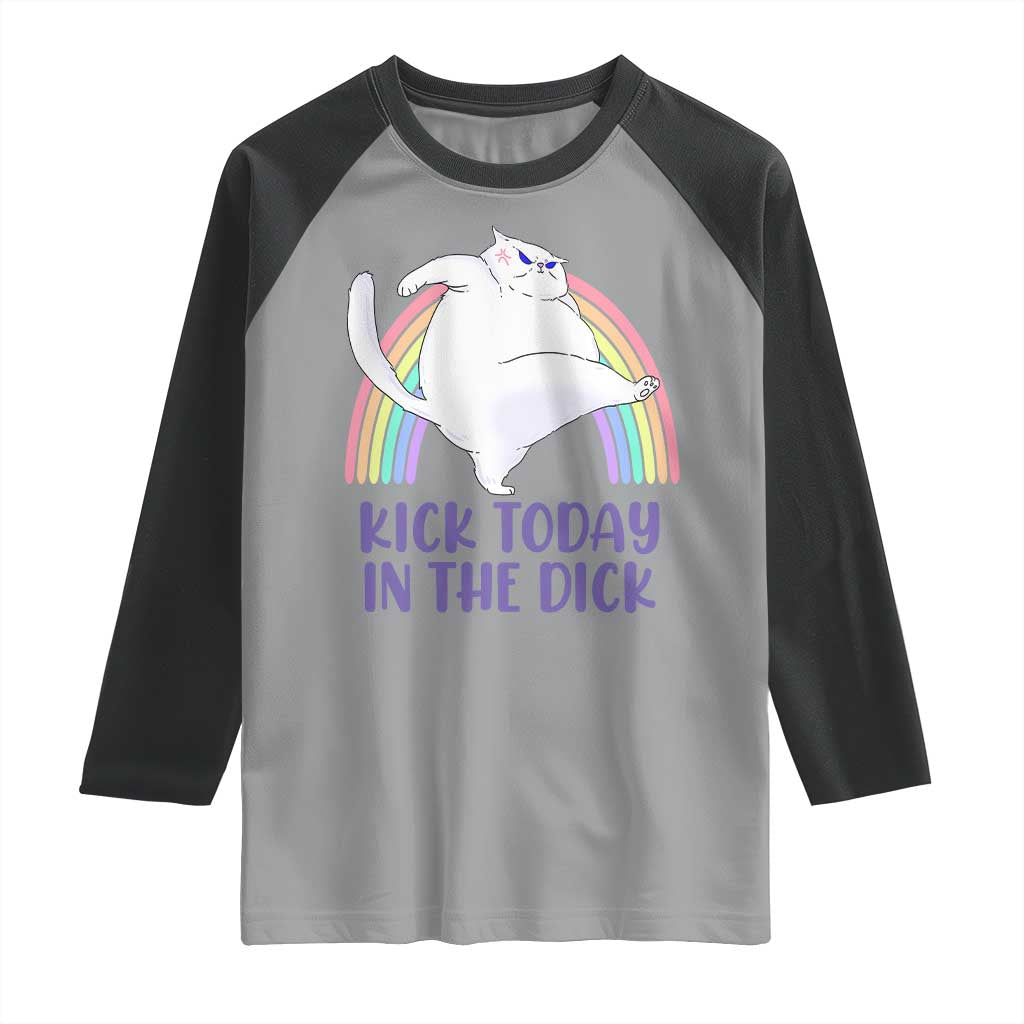 Funny Sarcastic Cat Raglan Shirt Kick Today In The Dick Pastel Rainbow