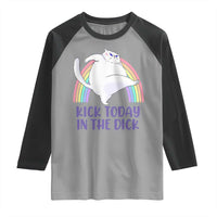 Funny Sarcastic Cat Raglan Shirt Kick Today In The Dick Pastel Rainbow