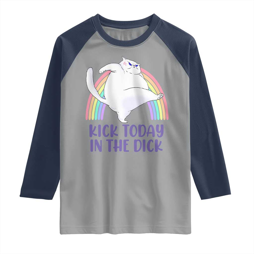 Funny Sarcastic Cat Raglan Shirt Kick Today In The Dick Pastel Rainbow