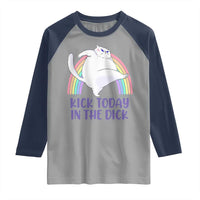 Funny Sarcastic Cat Raglan Shirt Kick Today In The Dick Pastel Rainbow