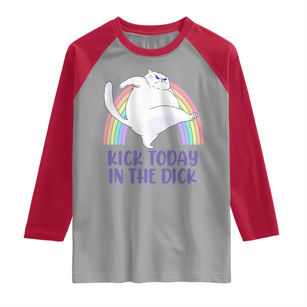 Funny Sarcastic Cat Raglan Shirt Kick Today In The Dick Pastel Rainbow
