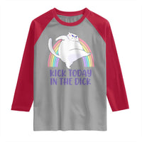 Funny Sarcastic Cat Raglan Shirt Kick Today In The Dick Pastel Rainbow