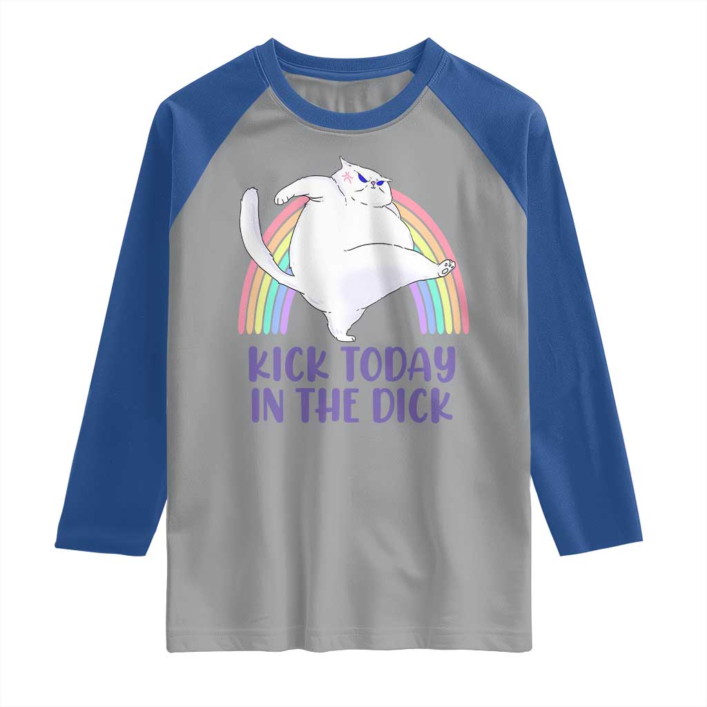 Funny Sarcastic Cat Raglan Shirt Kick Today In The Dick Pastel Rainbow