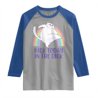 Funny Sarcastic Cat Raglan Shirt Kick Today In The Dick Pastel Rainbow