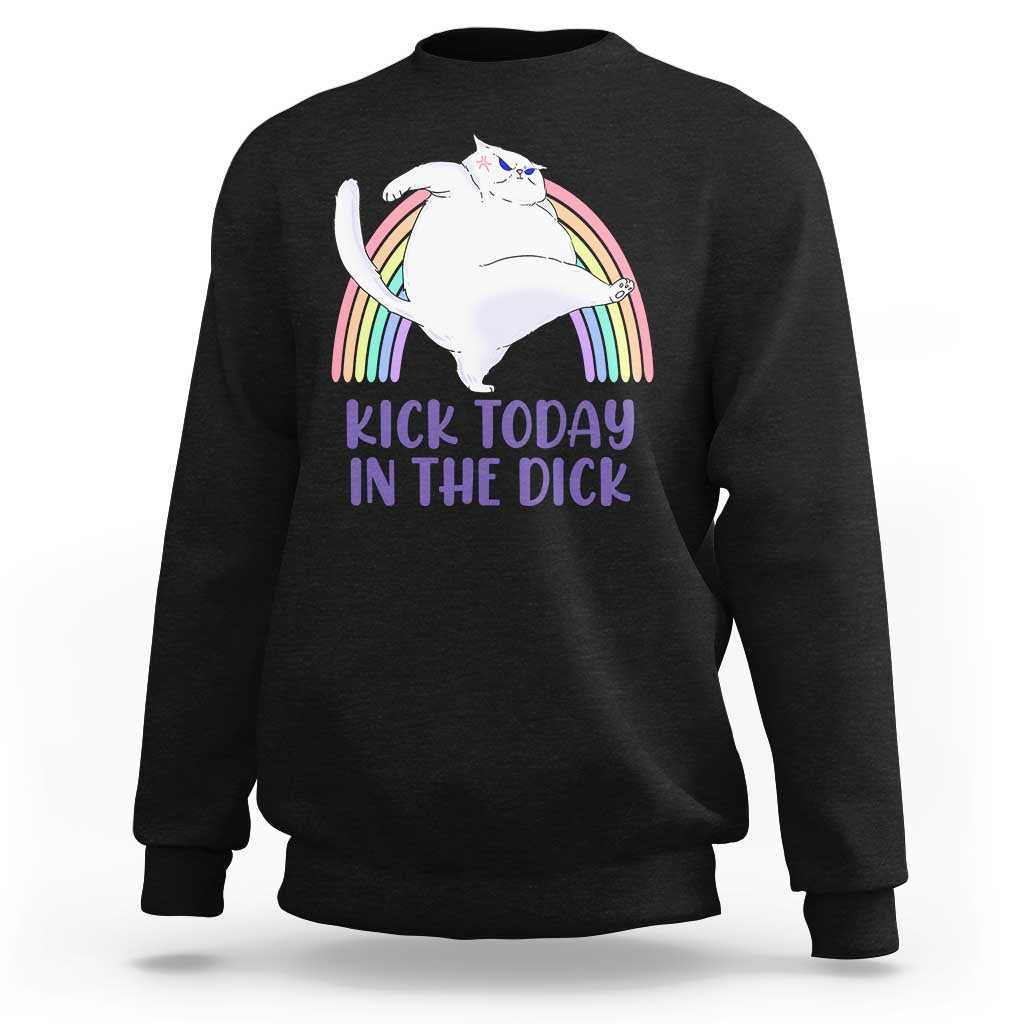 Funny Sarcastic Cat Sweatshirt Kick Today In The Dick Pastel Rainbow - Wonder Print Shop