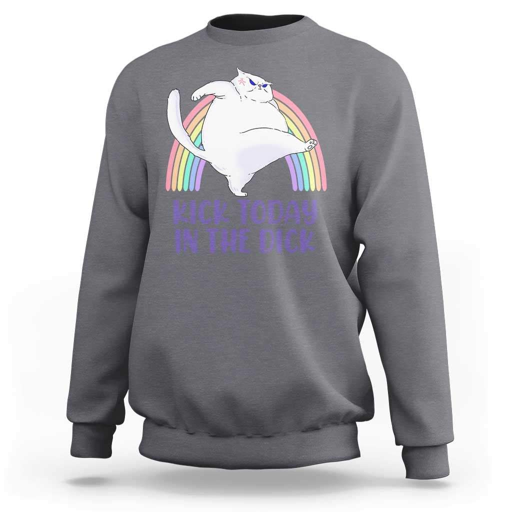 Funny Sarcastic Cat Sweatshirt Kick Today In The Dick Pastel Rainbow - Wonder Print Shop