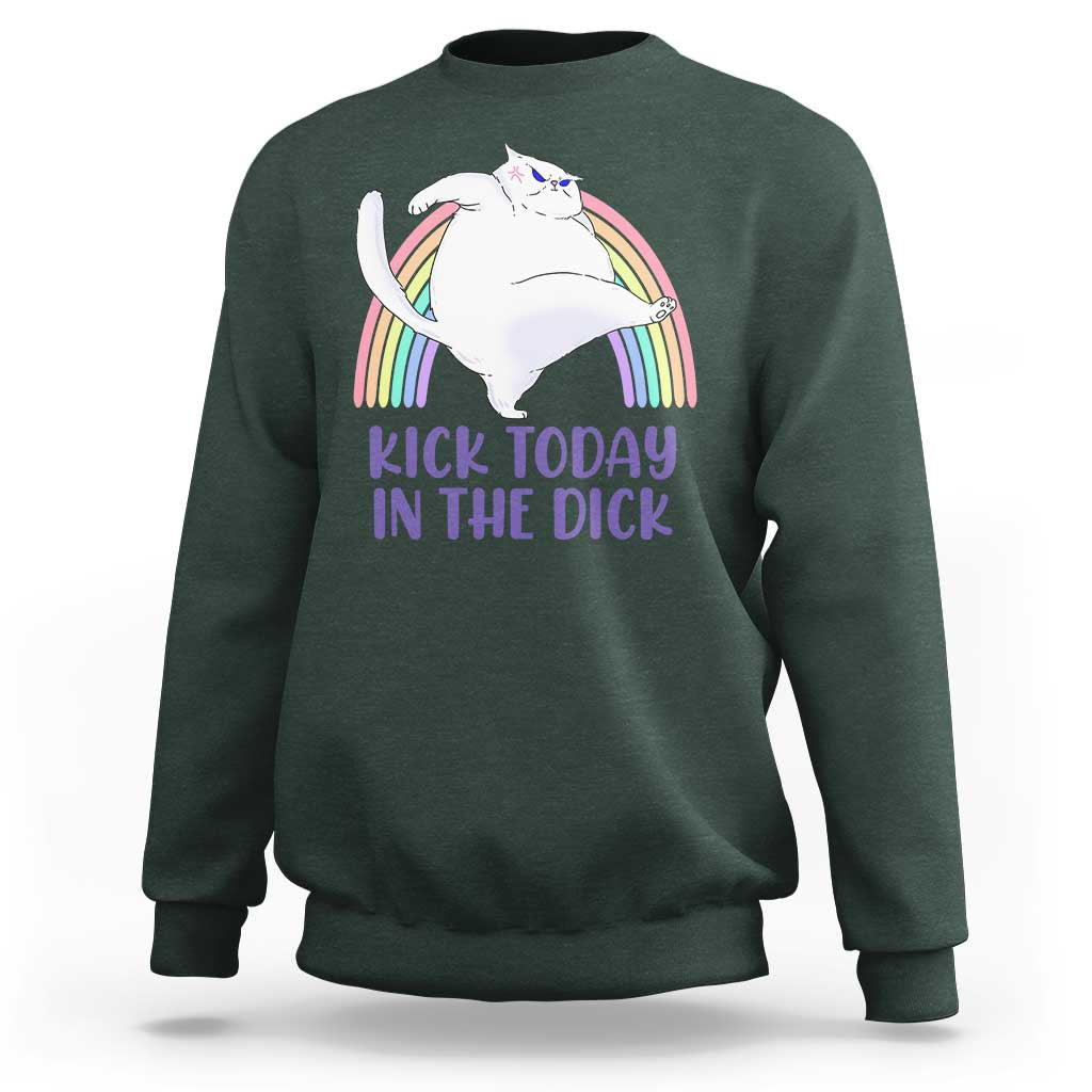 Funny Sarcastic Cat Sweatshirt Kick Today In The Dick Pastel Rainbow - Wonder Print Shop