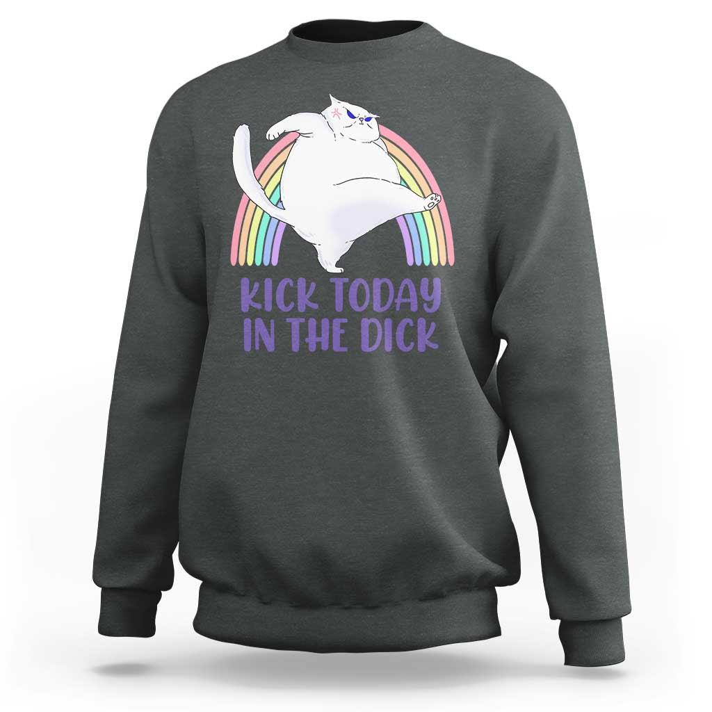 Funny Sarcastic Cat Sweatshirt Kick Today In The Dick Pastel Rainbow - Wonder Print Shop