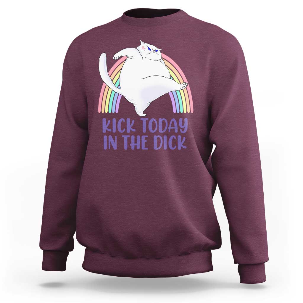Funny Sarcastic Cat Sweatshirt Kick Today In The Dick Pastel Rainbow - Wonder Print Shop
