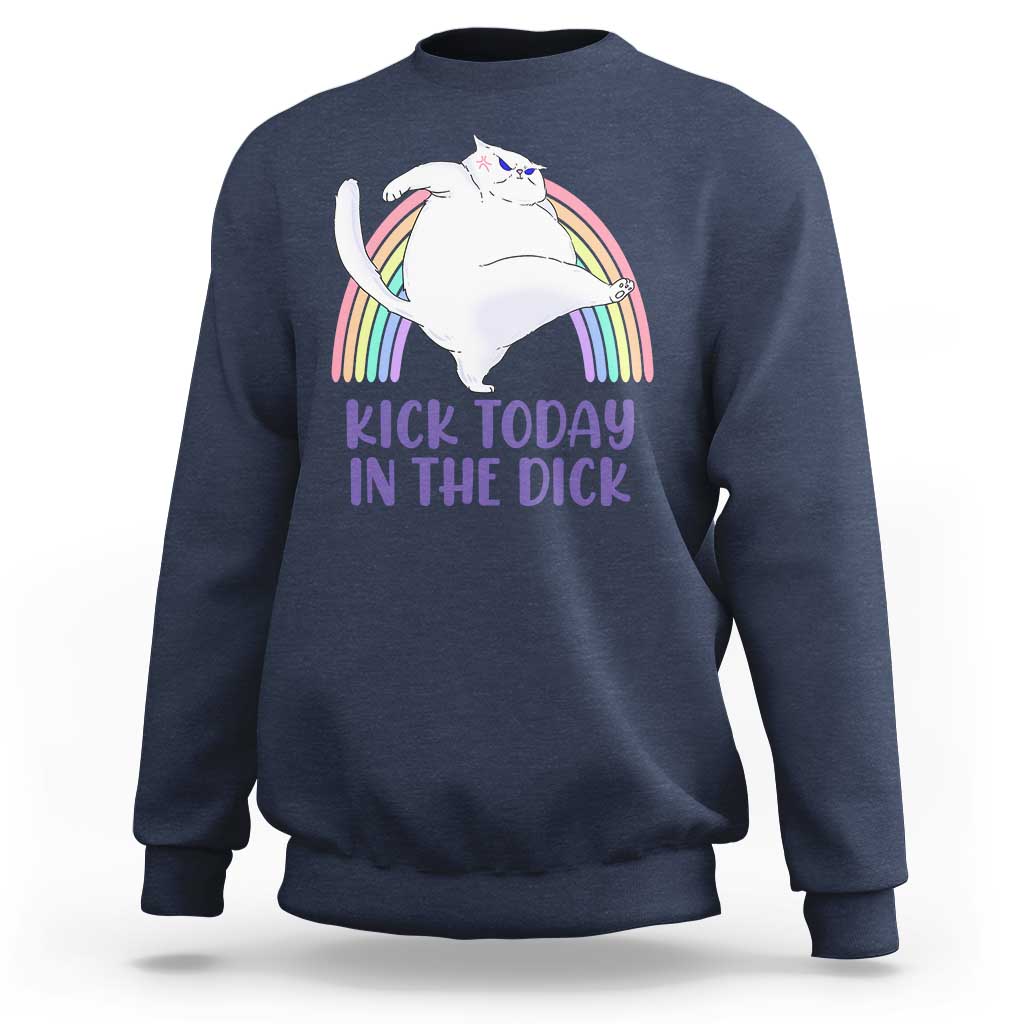 Funny Sarcastic Cat Sweatshirt Kick Today In The Dick Pastel Rainbow - Wonder Print Shop