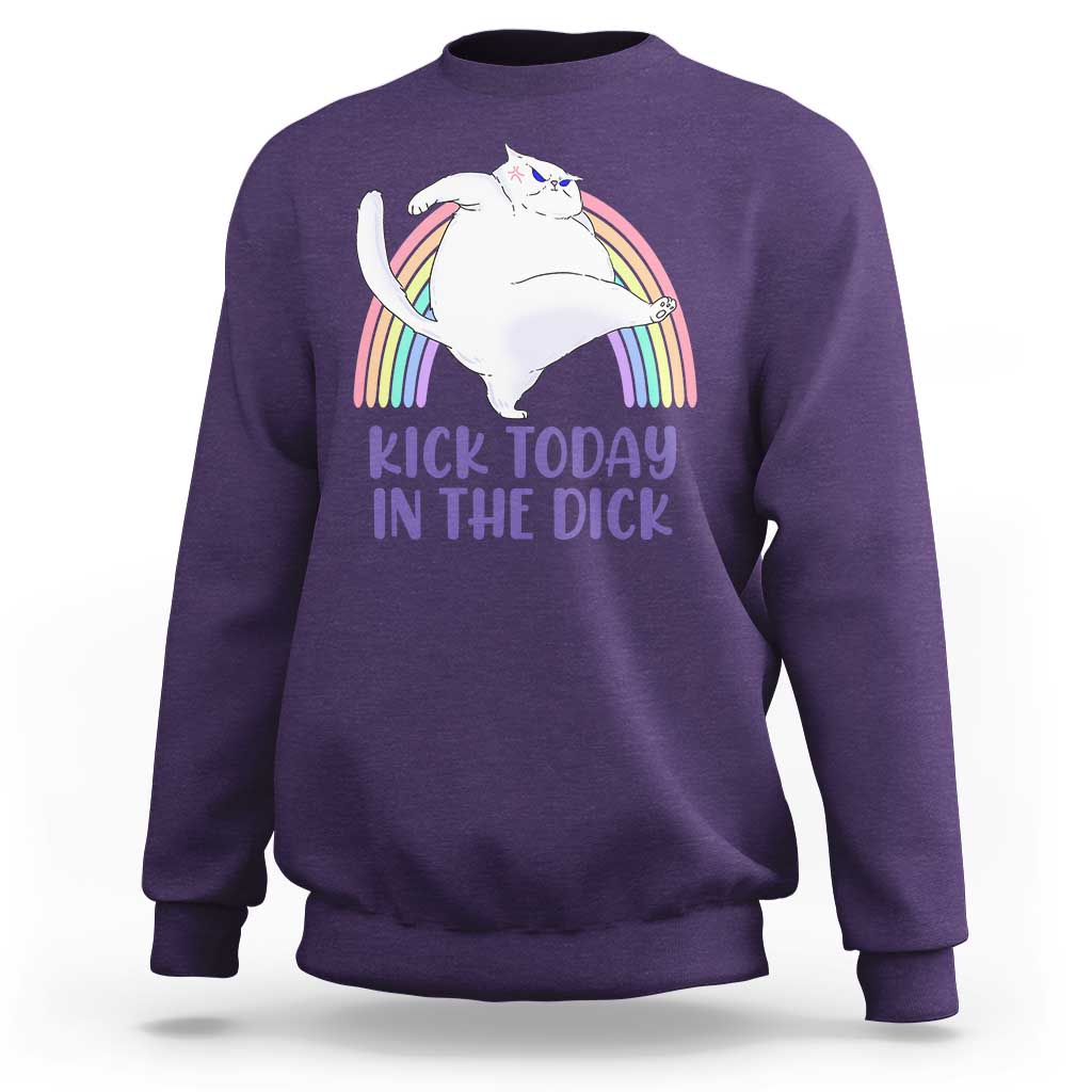 Funny Sarcastic Cat Sweatshirt Kick Today In The Dick Pastel Rainbow - Wonder Print Shop