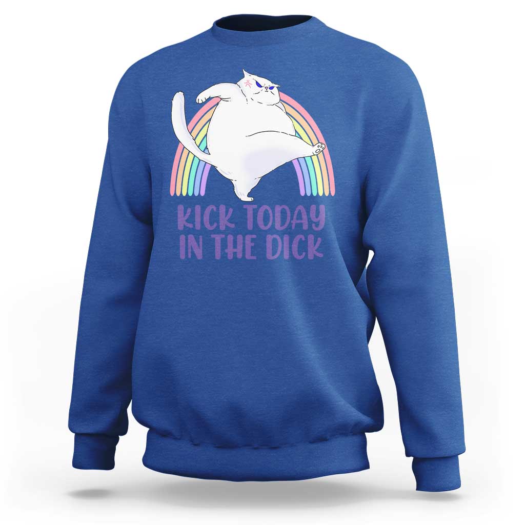 Funny Sarcastic Cat Sweatshirt Kick Today In The Dick Pastel Rainbow - Wonder Print Shop