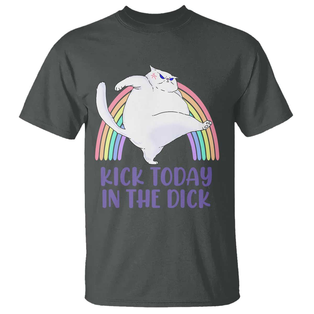 Funny Sarcastic Cat T Shirt Kick Today In The Dick Pastel Rainbow - Wonder Print Shop