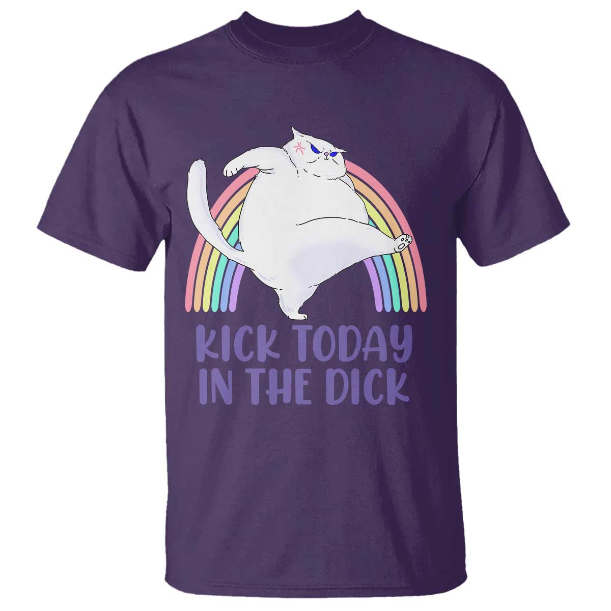 Funny Sarcastic Cat T Shirt Kick Today In The Dick Pastel Rainbow - Wonder Print Shop