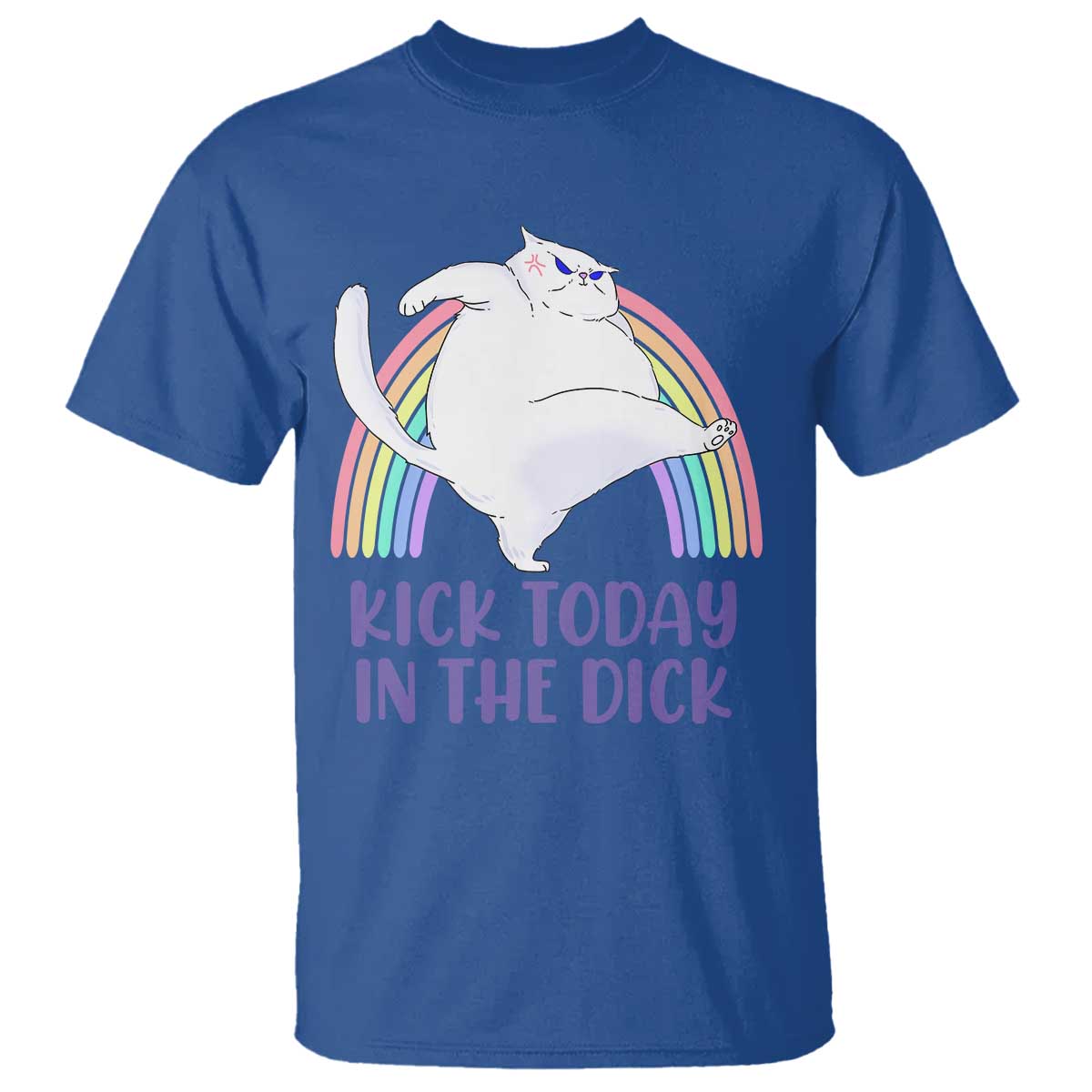 Funny Sarcastic Cat T Shirt Kick Today In The Dick Pastel Rainbow - Wonder Print Shop