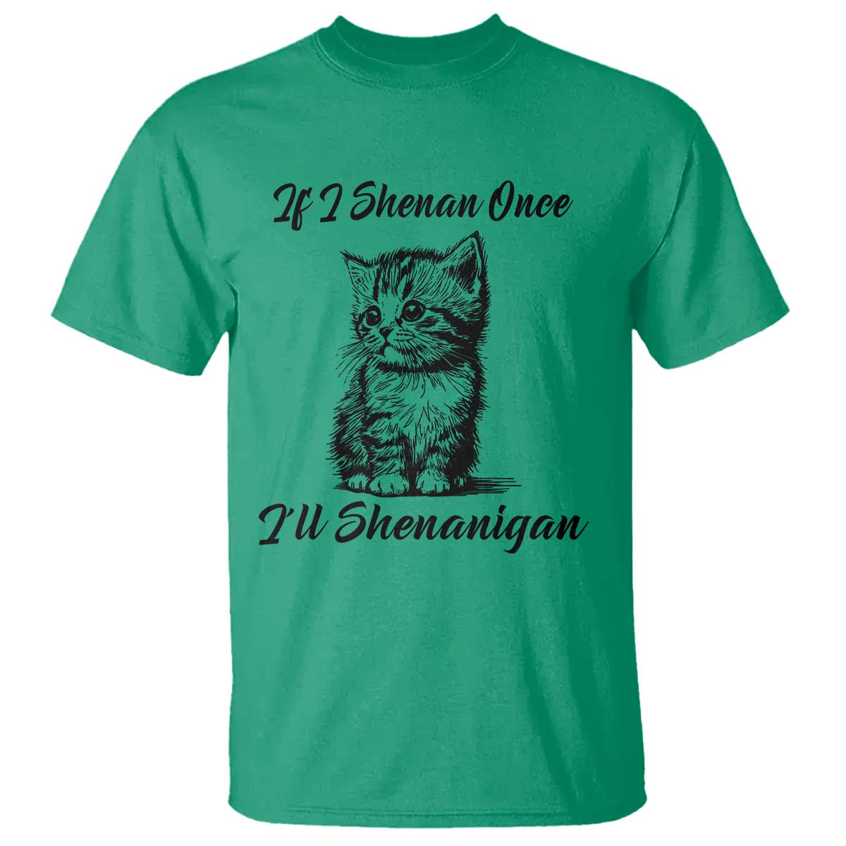 Cute Cat St Patricks Day T Shirt If I Shenan Once I'll Shenanigan