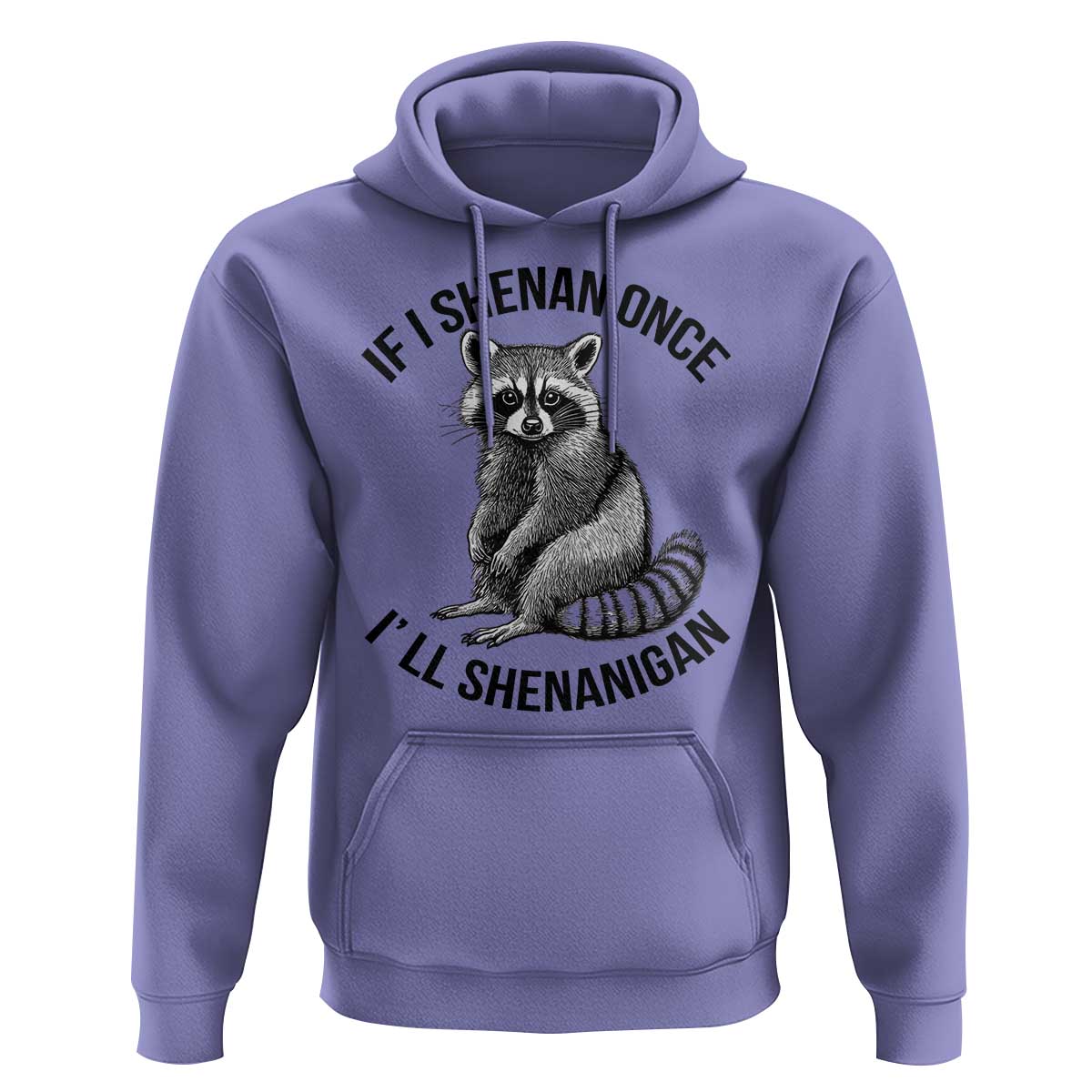 St Patricks Day Raccoon Meme Hoodie If I Shenan Once I'll Shenanigan