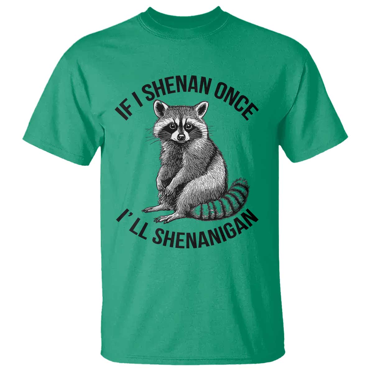St Patricks Day Raccoon Meme T Shirt If I Shenan Once I'll Shenanigan