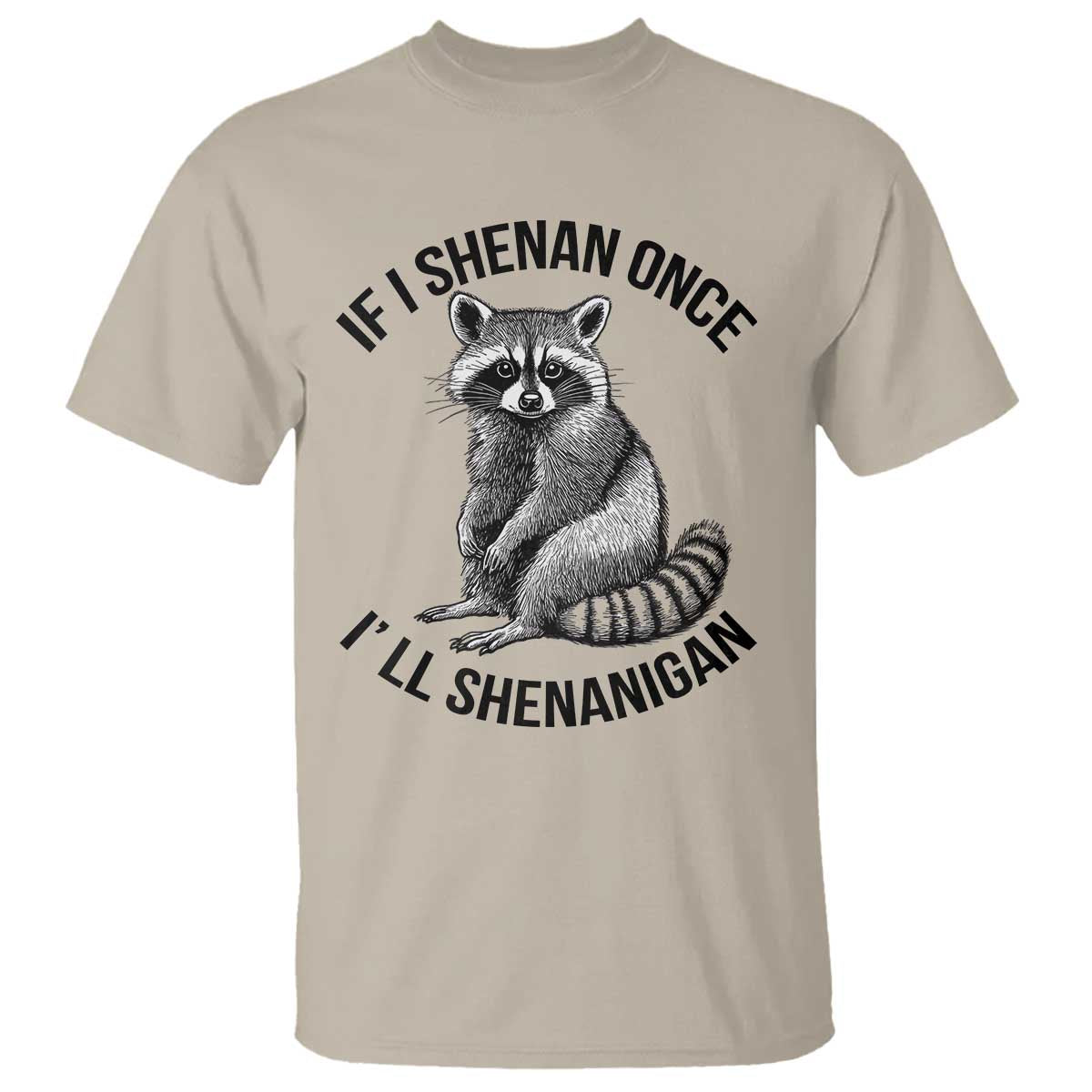 St Patricks Day Raccoon Meme T Shirt If I Shenan Once I'll Shenanigan
