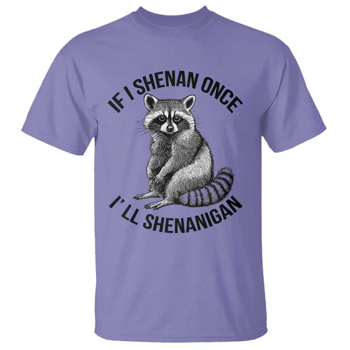 St Patricks Day Raccoon Meme T Shirt If I Shenan Once I'll Shenanigan