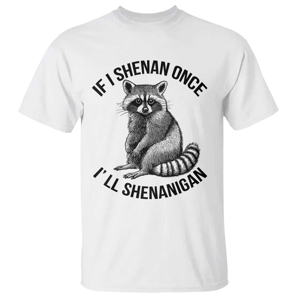 St Patricks Day Raccoon Meme T Shirt If I Shenan Once I'll Shenanigan