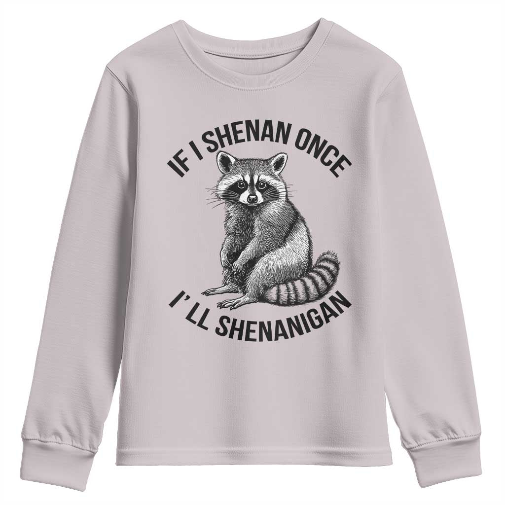 St Patricks Day Raccoon Meme Youth Sweatshirt If I Shenan Once I'll Shenanigan