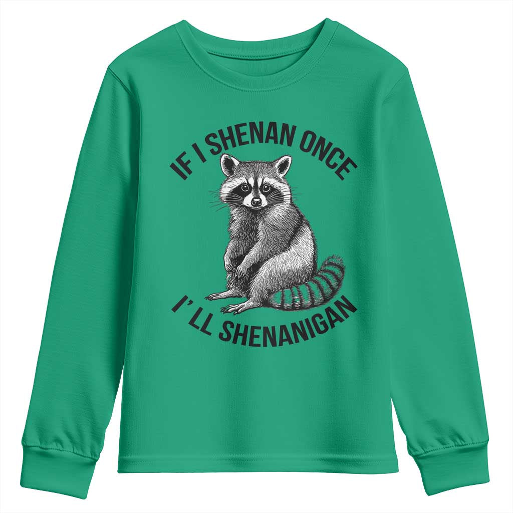 St Patricks Day Raccoon Meme Youth Sweatshirt If I Shenan Once I'll Shenanigan