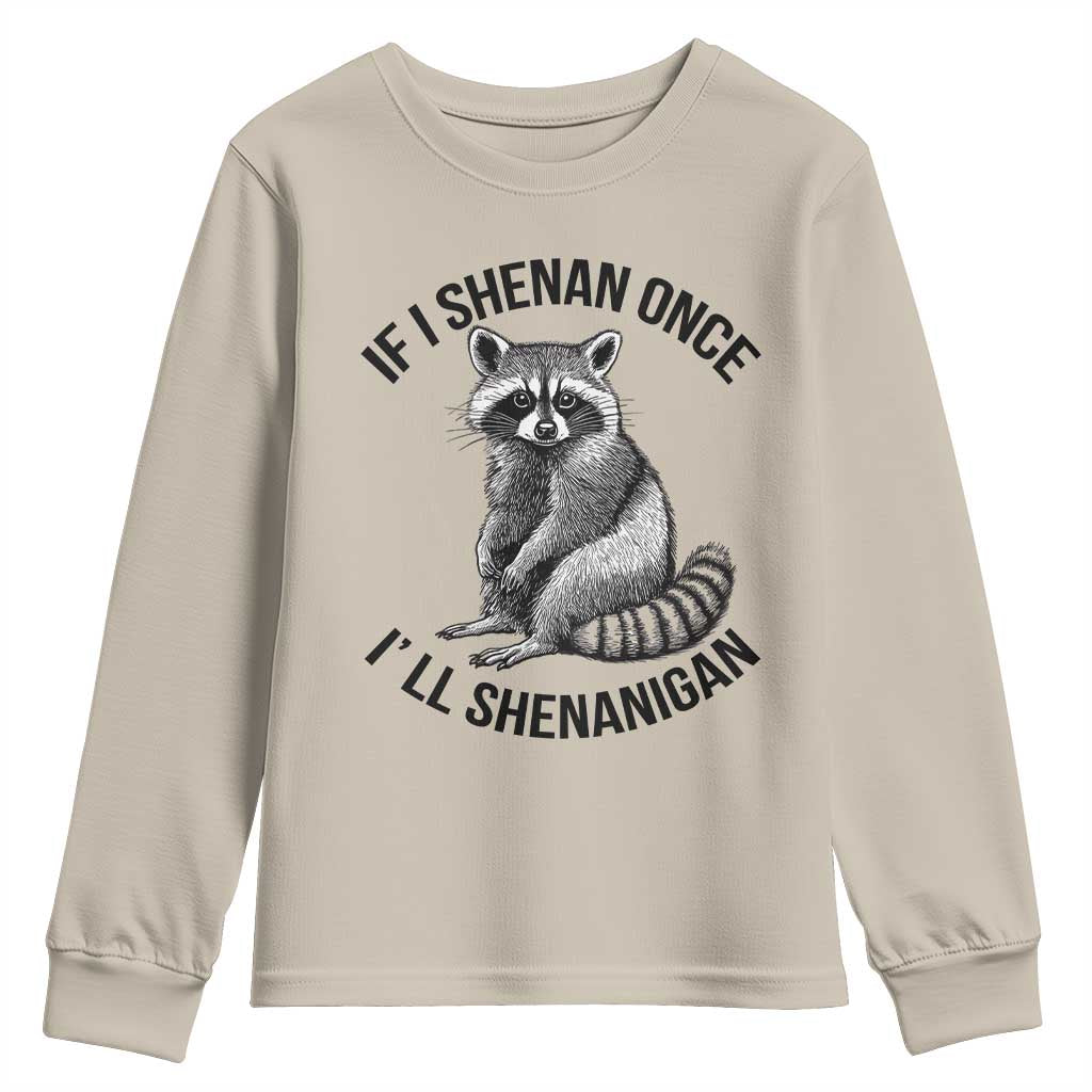 St Patricks Day Raccoon Meme Youth Sweatshirt If I Shenan Once I'll Shenanigan