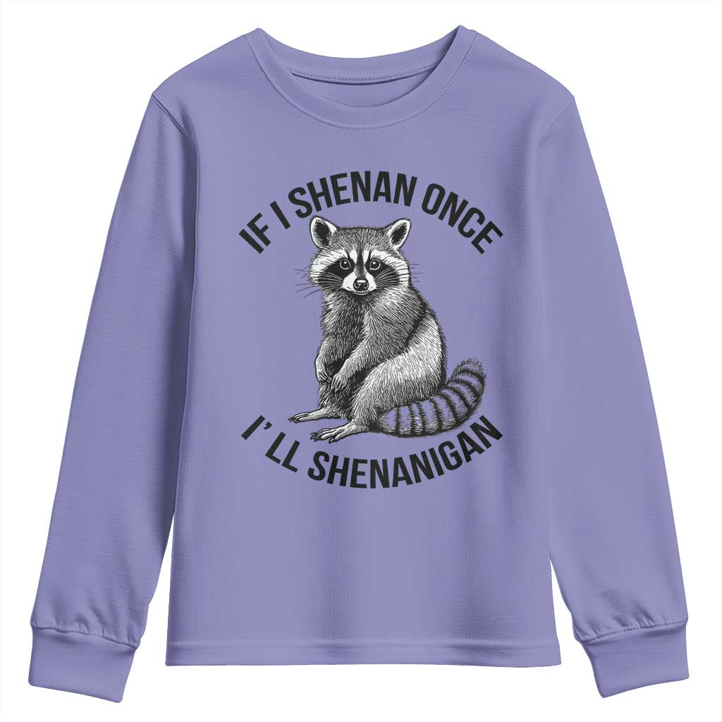 St Patricks Day Raccoon Meme Youth Sweatshirt If I Shenan Once I'll Shenanigan