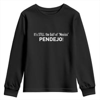It's Still The Gulf Of Mexico Pendejo Youth Sweatshirt Golfo De Mexico