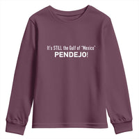 It's Still The Gulf Of Mexico Pendejo Youth Sweatshirt Golfo De Mexico
