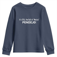 It's Still The Gulf Of Mexico Pendejo Youth Sweatshirt Golfo De Mexico