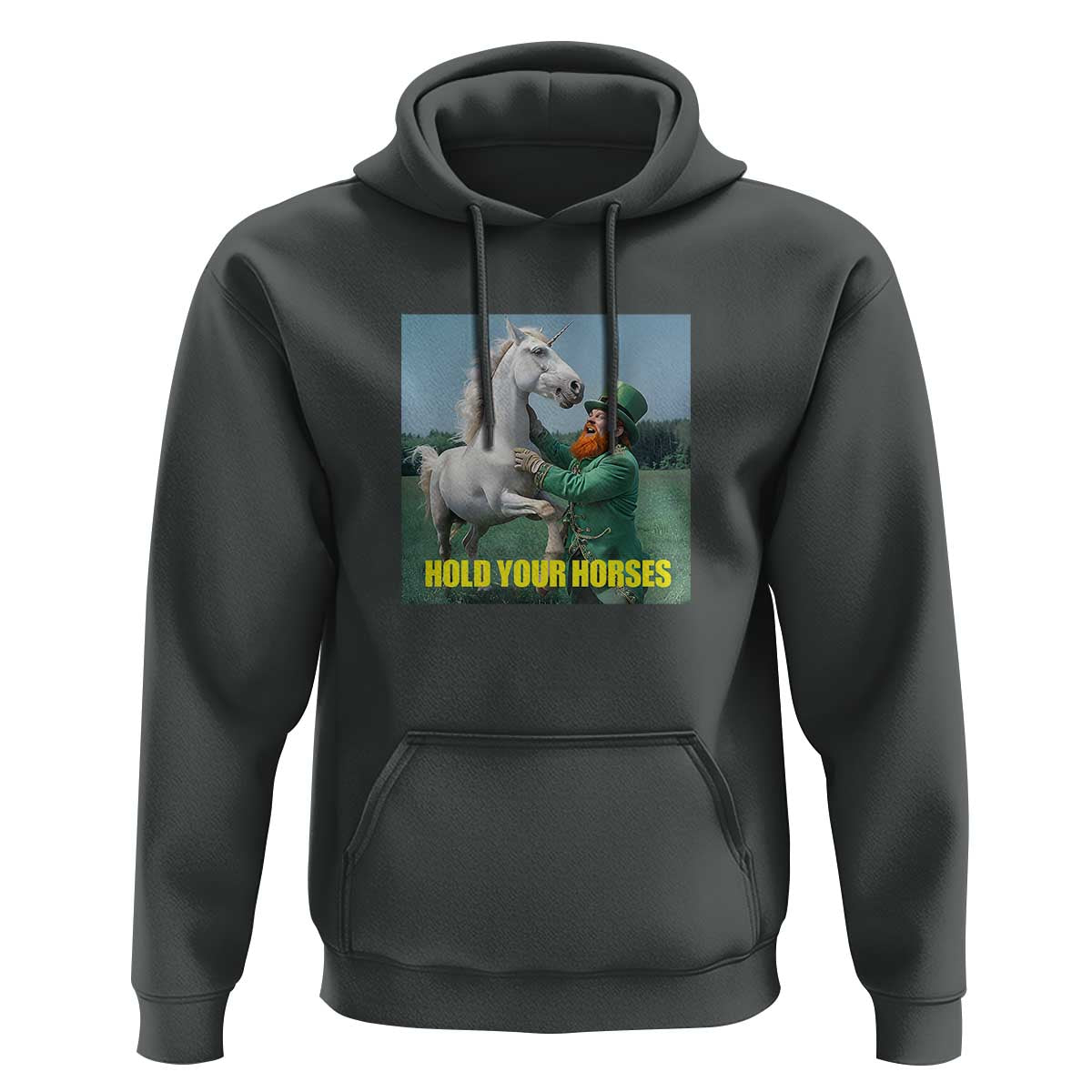 Funny Leprechaun Hold Your Horse Hoodie Unicorn St Patrick's Day
