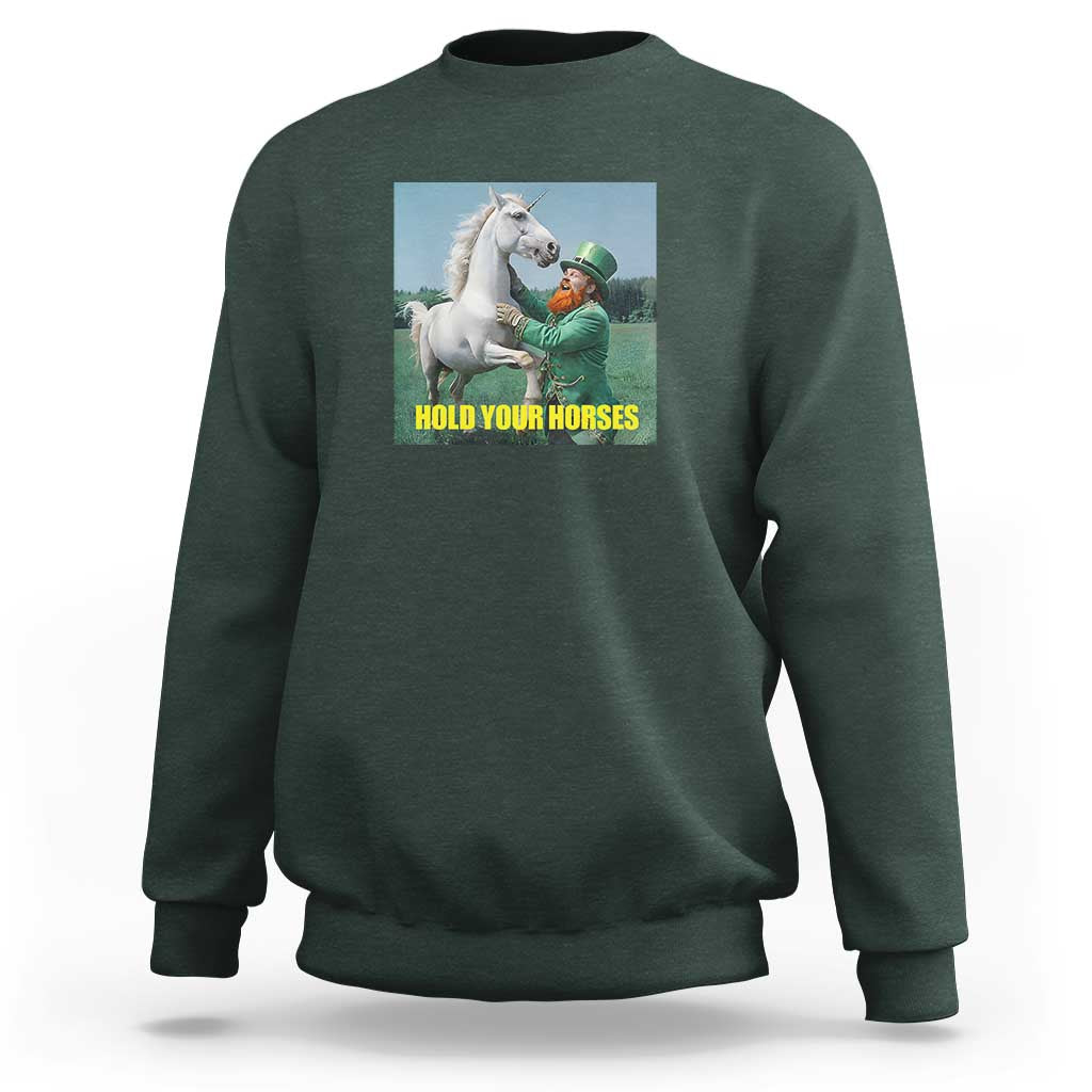 Funny Leprechaun Hold Your Horse Sweatshirt Unicorn St Patrick's Day