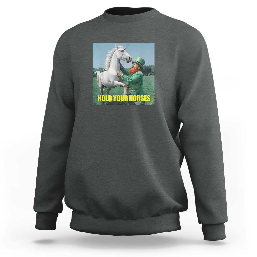 Funny Leprechaun Hold Your Horse Sweatshirt Unicorn St Patrick's Day