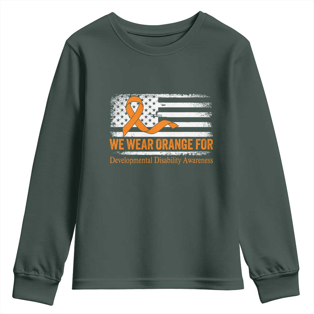 Developmental Disability Awareness Youth Sweatshirt US American Flag We Wear Orange