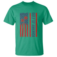 Funny Gulf Of US America Est 2025 T Shirt USA American Flag