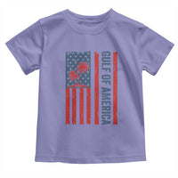 Funny Gulf Of US America Est 2025 Toddler T Shirt USA American Flag