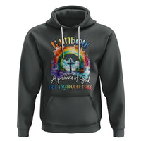 God's Promise Hoodie Rainbow A Promise Of God Not A Symbol Of Pride - Wonder Print Shop