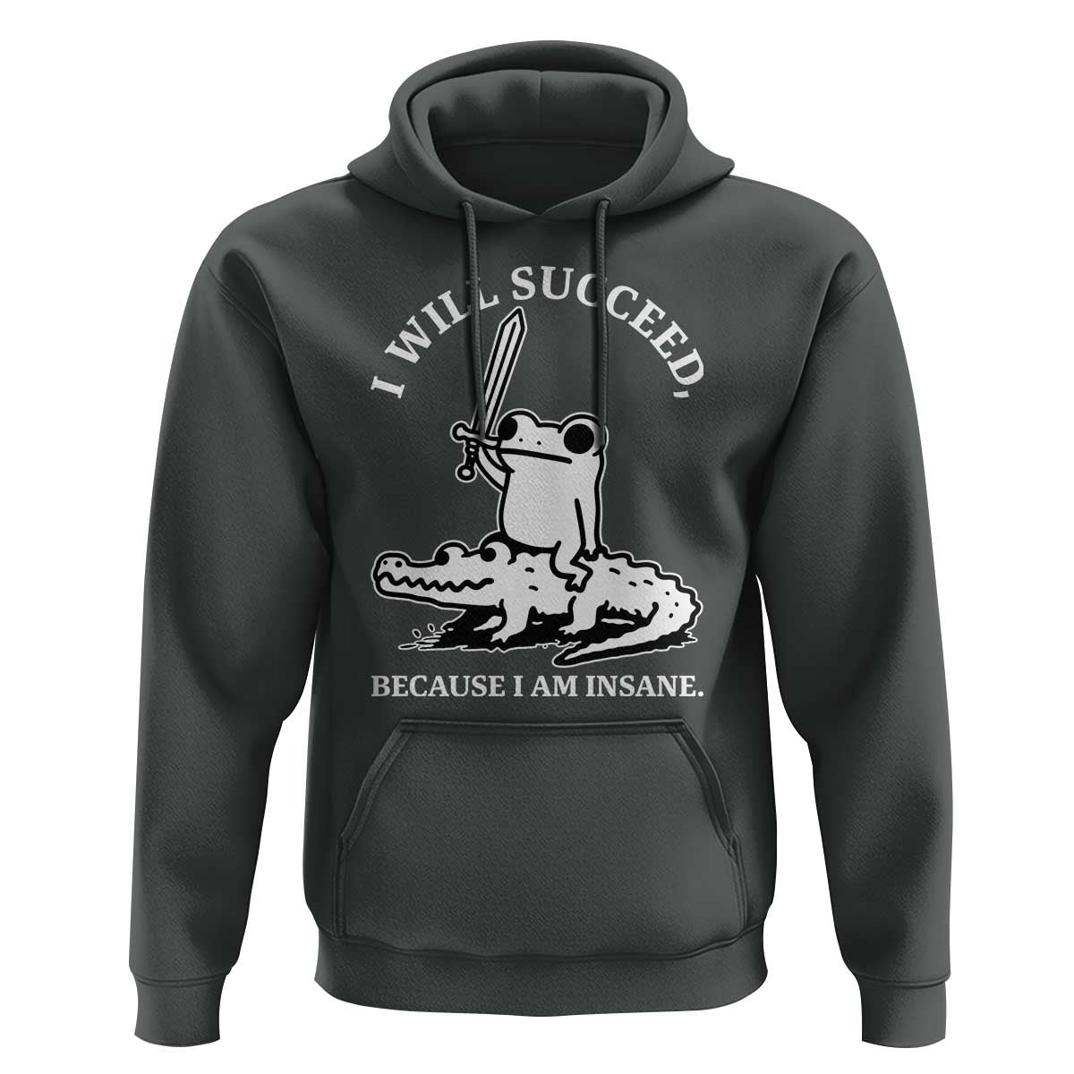 Funny Goblincore Sword Frog Riding Alligator Meme Hoodie I Will Succeed Because I Am Insane Chaotic Motivation