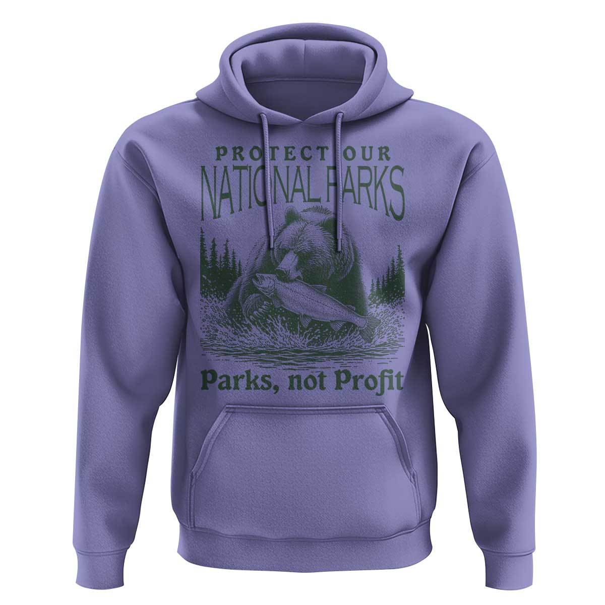 Protect Our National Parks Hoodie Parks Not Profits Retro Bear Nature Graphic