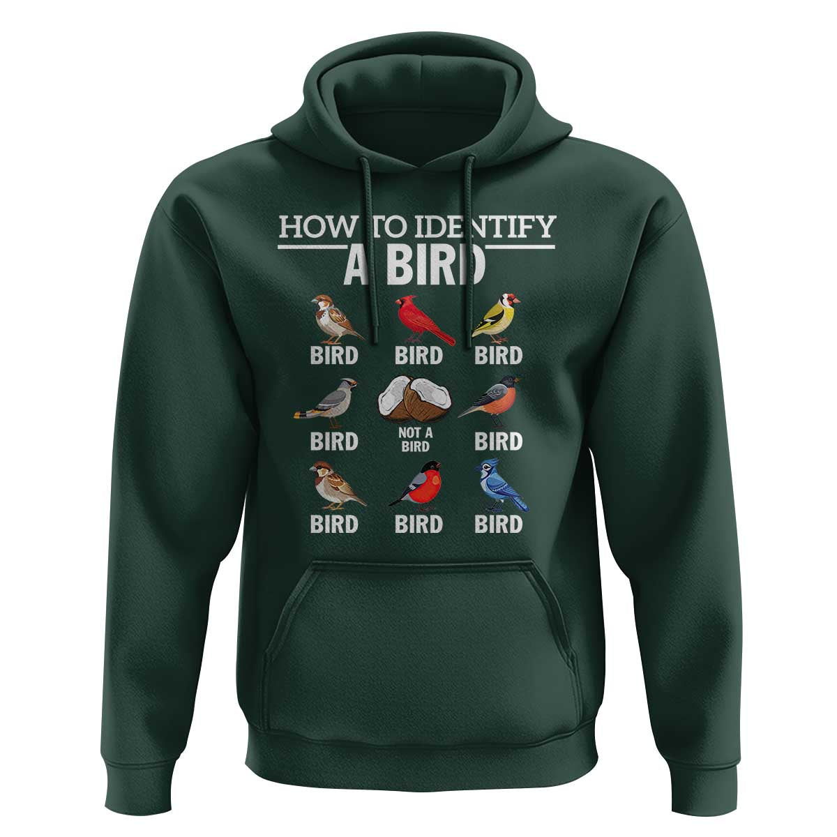 Funny Bird Watching Hoodie How To Identify A Bird