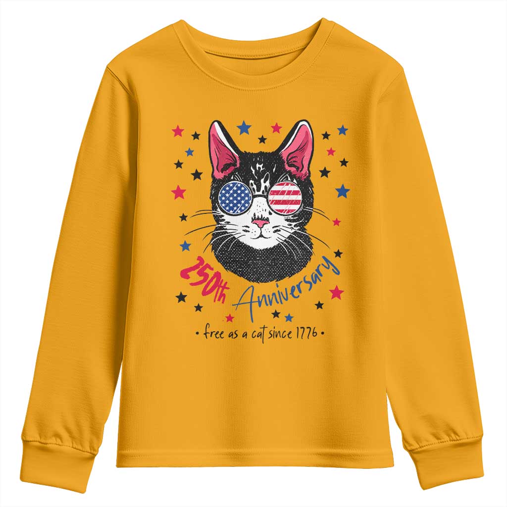 Free As A Cat Since 1776 Funny Patriotic Youth Sweatshirt Cool American Flag Sunglasses Cat 250th Anniversary Semiquincentennial