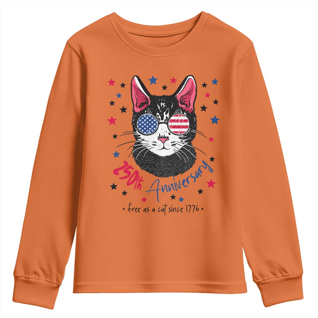 Free As A Cat Since 1776 Funny Patriotic Youth Sweatshirt Cool American Flag Sunglasses Cat 250th Anniversary Semiquincentennial