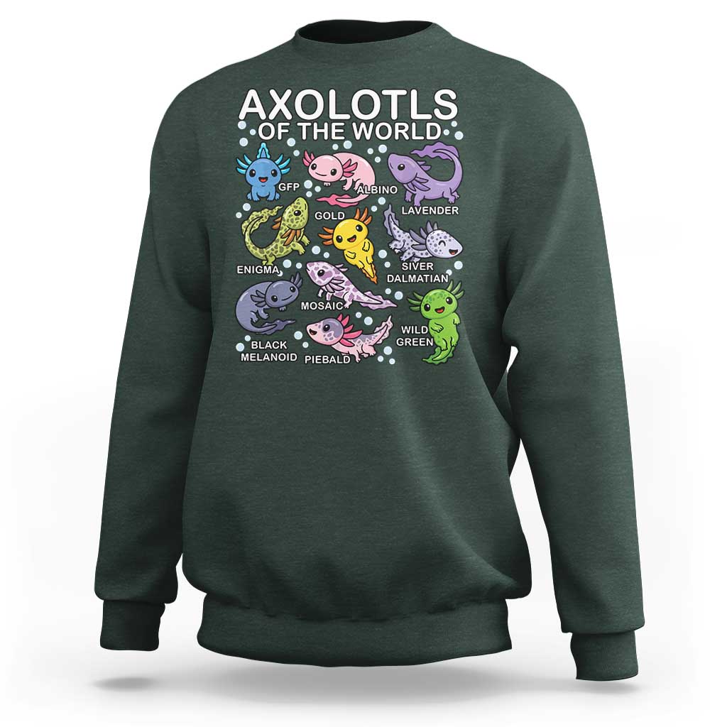 Kawaii Axolotl Sweatshirt Axolotls of the World Animals Aquarium Species - Wonder Print Shop