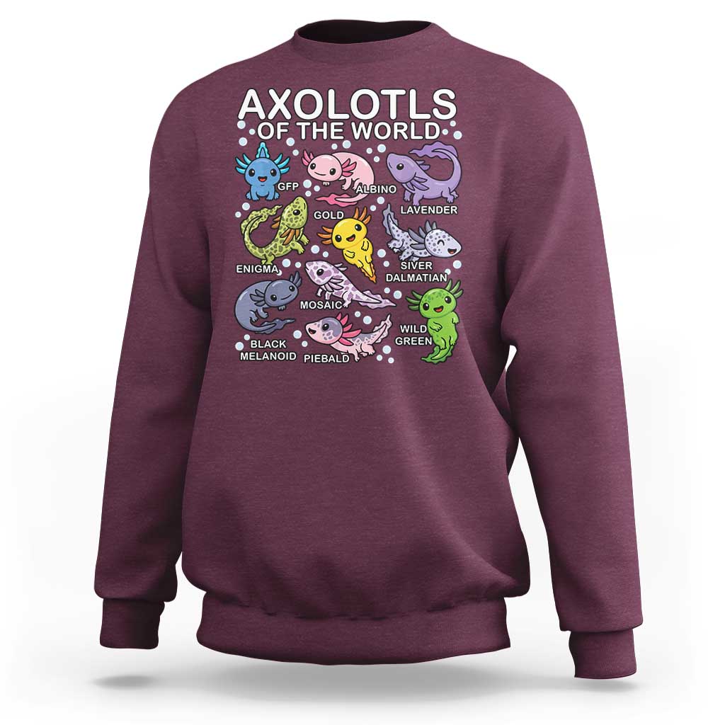 Kawaii Axolotl Sweatshirt Axolotls of the World Animals Aquarium Species - Wonder Print Shop