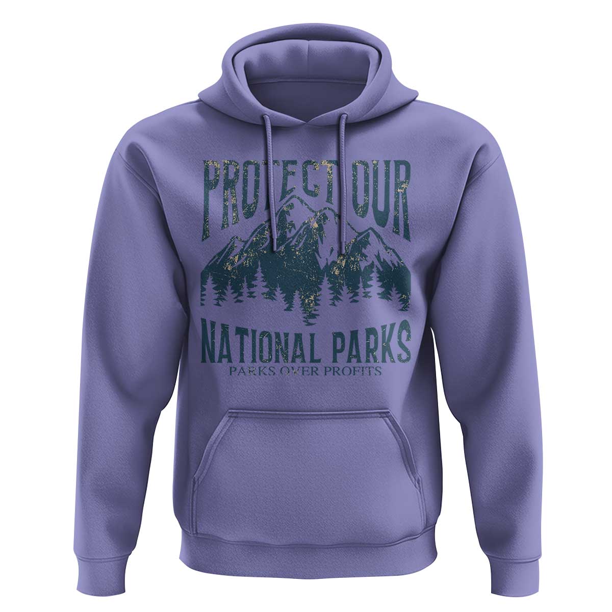 Protect Our National Parks Hoodie Retro Mountain Nature Graphic