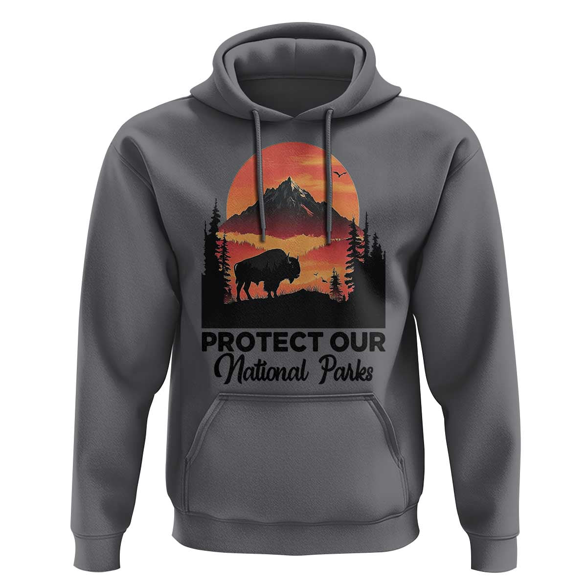 Protect Our National Parks Hoodie Bison Buffalo Vintage Graphic