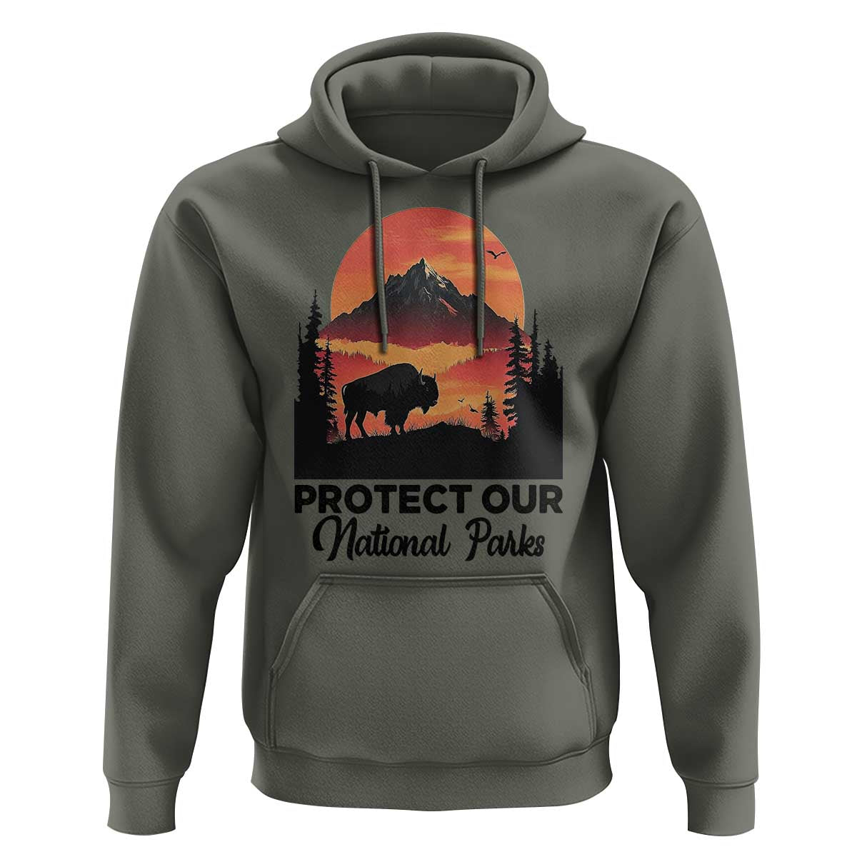 Protect Our National Parks Hoodie Bison Buffalo Vintage Graphic